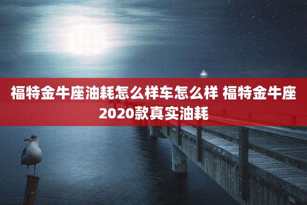 福特金牛座油耗怎么样车怎么样 福特金牛座2020款真实油耗