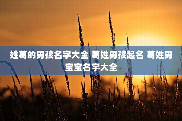姓葛的男孩名字大全 葛姓男孩起名 葛姓男宝宝名字大全