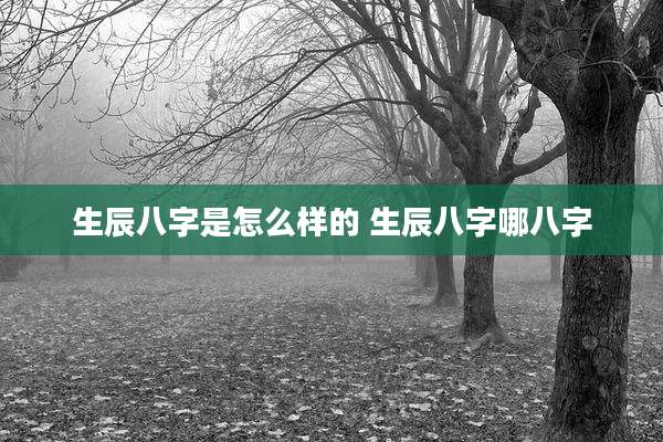 生辰八字是怎么样的 生辰八字哪八字