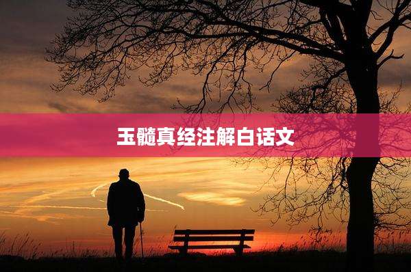玉髓真经注解白话文