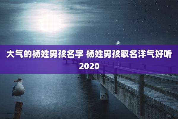 大气的杨姓男孩名字 杨姓男孩取名洋气好听2020