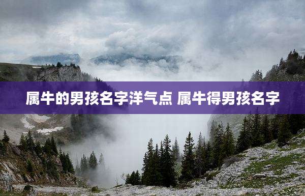 属牛的男孩名字洋气点 属牛得男孩名字