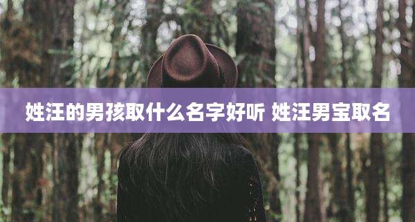 姓汪的男孩取什么名字好听 姓汪男宝取名