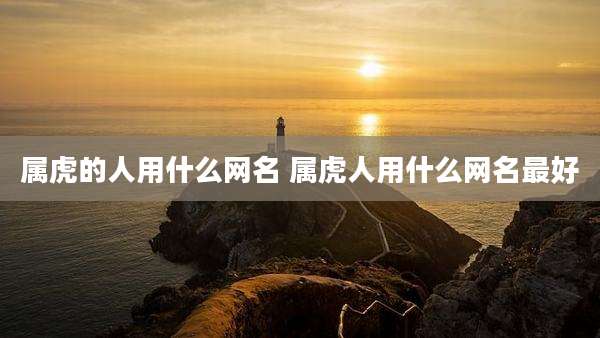 属虎的人用什么网名 属虎人用什么网名最好