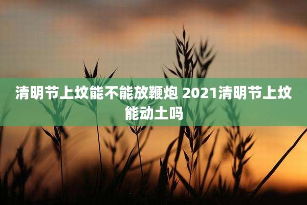 清明节上坟能不能放鞭炮 2021清明节上坟能动土吗