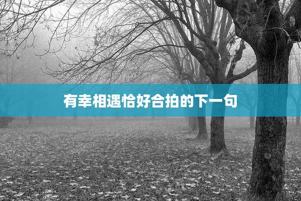 有幸相遇恰好合拍的下一句