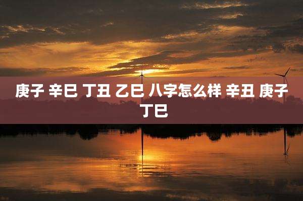 庚子 辛巳 丁丑 乙巳 八字怎么样 辛丑 庚子 丁巳