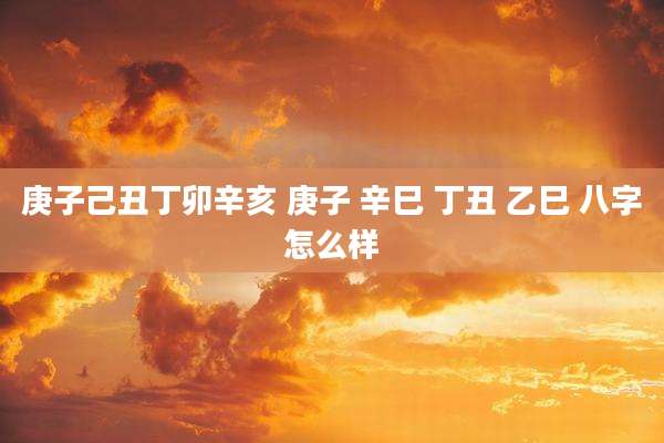庚子己丑丁卯辛亥 庚子 辛巳 丁丑 乙巳 八字怎么样