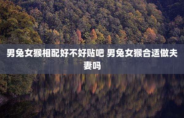 男兔女猴相配好不好贴吧 男兔女猴合适做夫妻吗