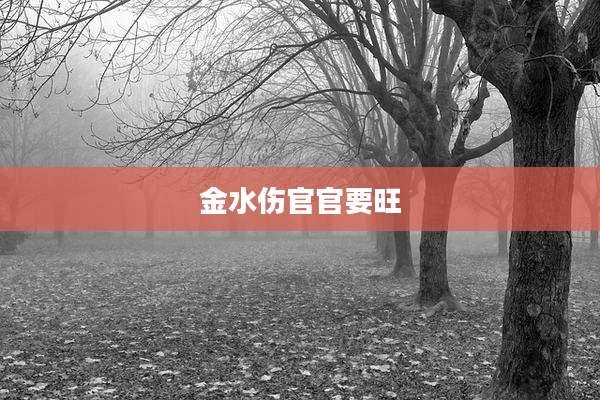 金水伤官官要旺