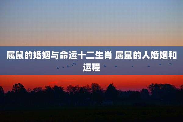 属鼠的婚姻与命运十二生肖 属鼠的人婚姻和运程