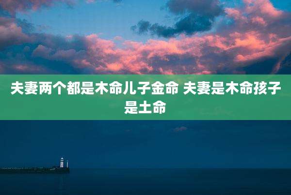 夫妻两个都是木命儿子金命 夫妻是木命孩子是土命