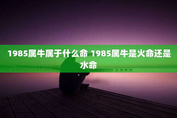 1985属牛属于什么命 1985属牛是火命还是水命
