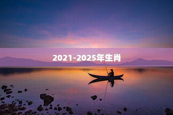 2021-2025年生肖