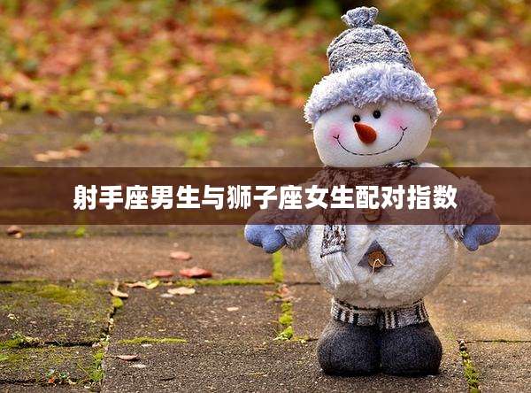射手座男生与狮子座女生配对指数