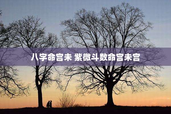 八字命宫未 紫微斗数命宫未宫