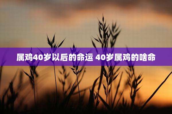 属鸡40岁以后的命运 40岁属鸡的啥命