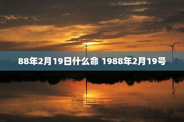 88年2月19日什么命 1988年2月19号