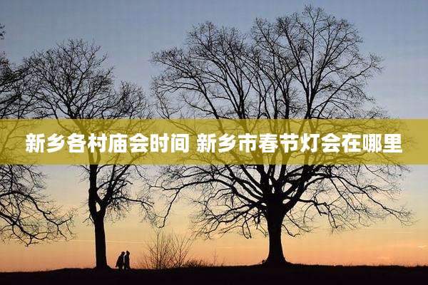 新乡各村庙会时间 新乡市春节灯会在哪里