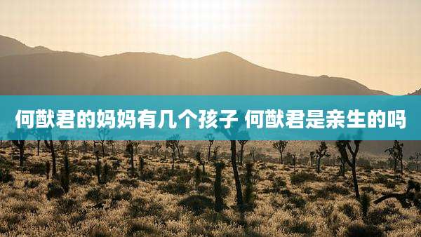 何猷君的妈妈有几个孩子 何猷君是亲生的吗