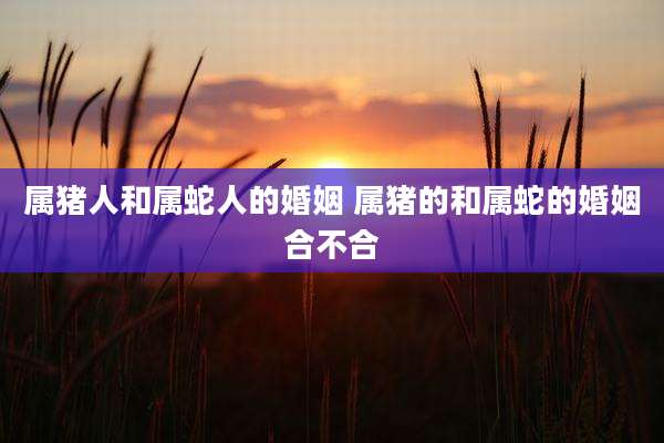 属猪人和属蛇人的婚姻 属猪的和属蛇的婚姻合不合