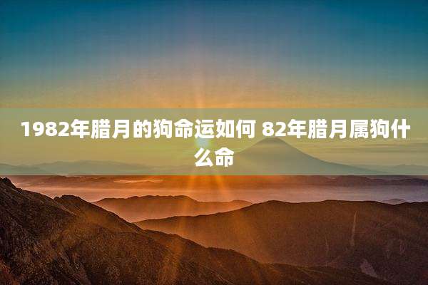 1982年腊月的狗命运如何 82年腊月属狗什么命