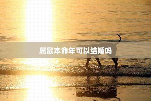 属鼠本命年可以结婚吗