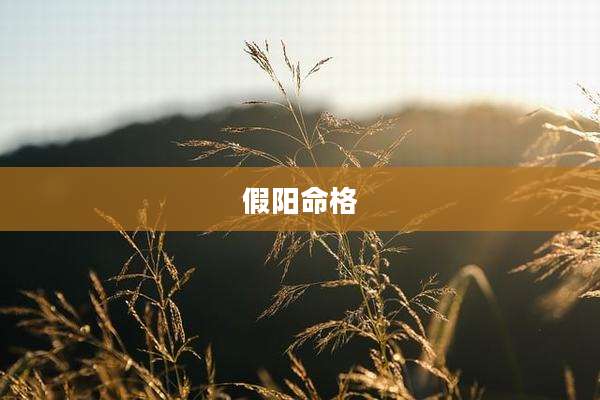 假阳命格