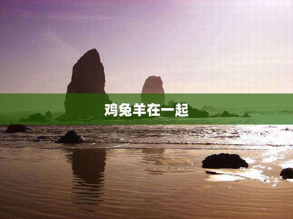鸡兔羊在一起