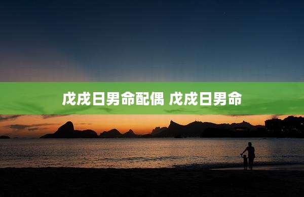 戊戌日男命配偶 戊戍日男命