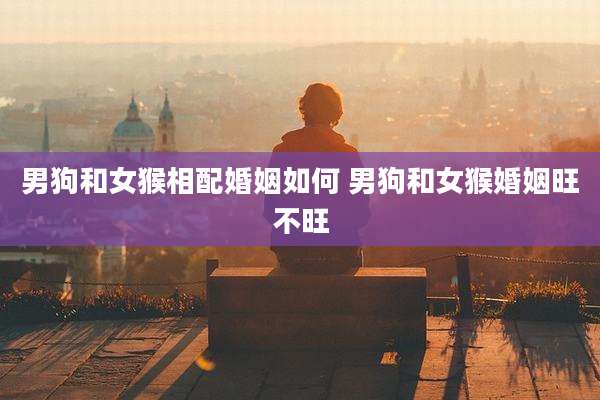 男狗和女猴相配婚姻如何 男狗和女猴婚姻旺不旺
