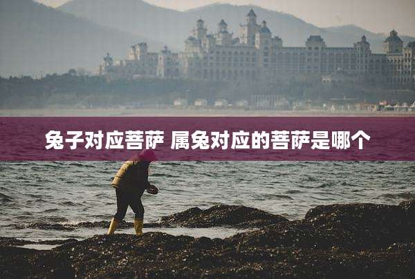 兔子对应菩萨 属兔对应的菩萨是哪个