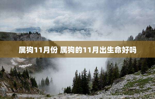 属狗11月份 属狗的11月出生命好吗