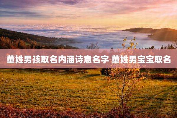 董姓男孩取名内涵诗意名字 董姓男宝宝取名