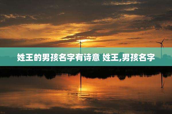 姓王的男孩名字有诗意 姓王,男孩名字