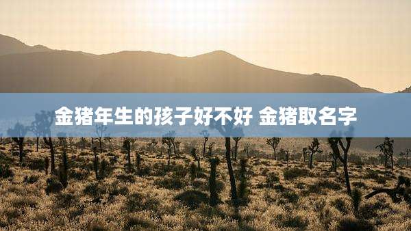 金猪年生的孩子好不好 金猪取名字
