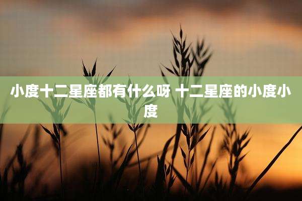 小度十二星座都有什么呀 十二星座的小度小度
