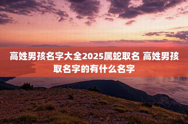 高姓男孩名字大全2025属蛇取名 高姓男孩取名字的有什么名字