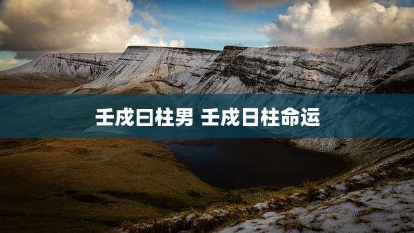 壬戍曰柱男 壬戍日柱命运