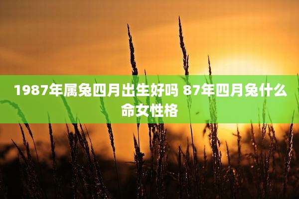 1987年属兔四月出生好吗 87年四月兔什么命女性格
