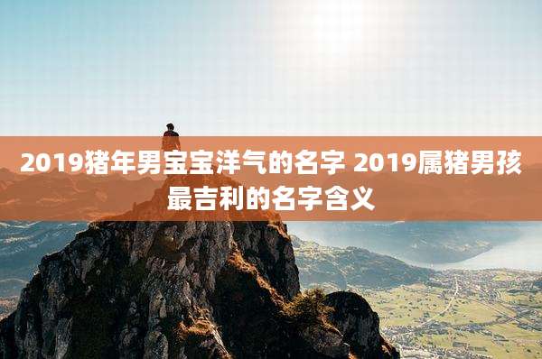 2019猪年男宝宝洋气的名字 2019属猪男孩最吉利的名字含义