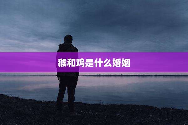 猴和鸡是什么婚姻