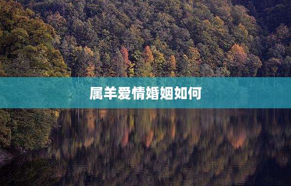 属羊爱情婚姻如何