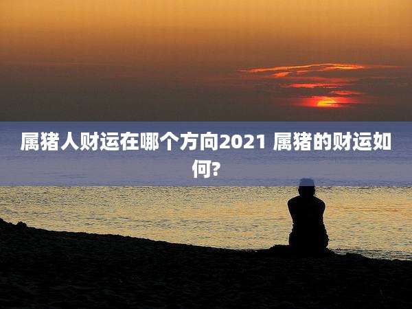 属猪人财运在哪个方向2021 属猪的财运如何?