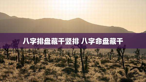 八字排盘藏干竖排 八字命盘藏干