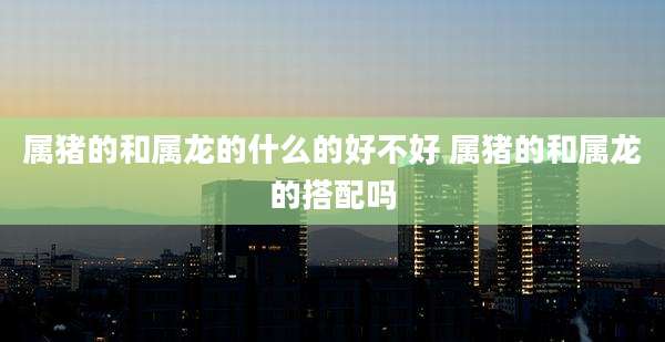 属猪的和属龙的什么的好不好 属猪的和属龙的搭配吗
