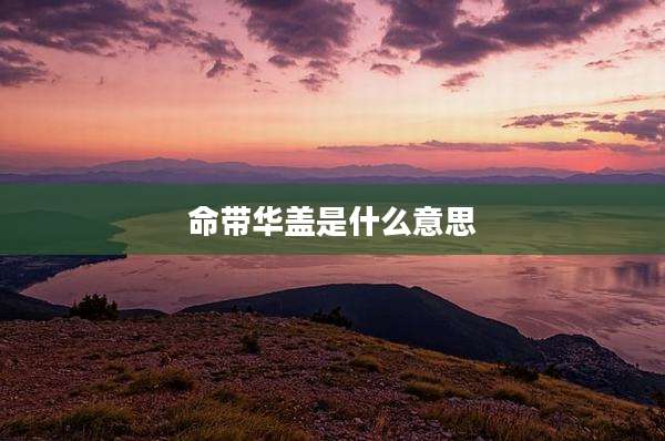 命带华盖是什么意思