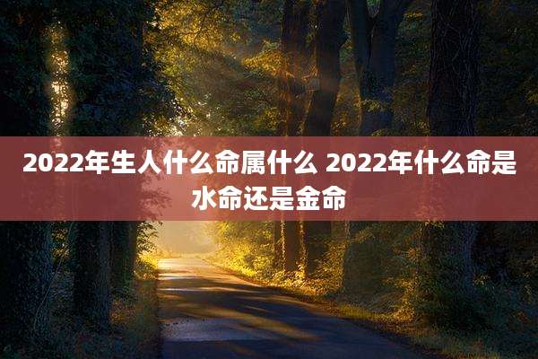 2022年生人什么命属什么 2022年什么命是水命还是金命
