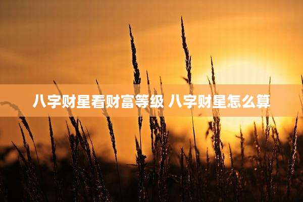 八字财星看财富等级 八字财星怎么算