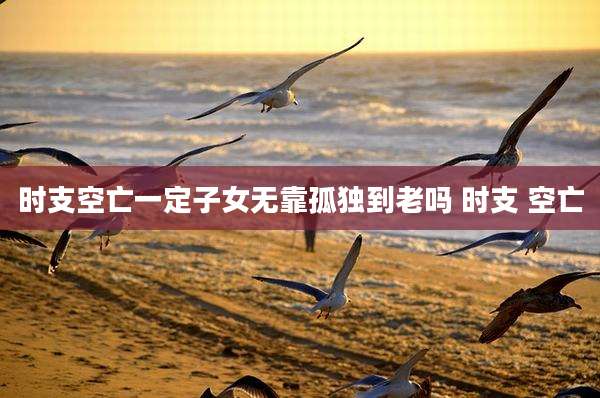 时支空亡一定子女无靠孤独到老吗 时支 空亡